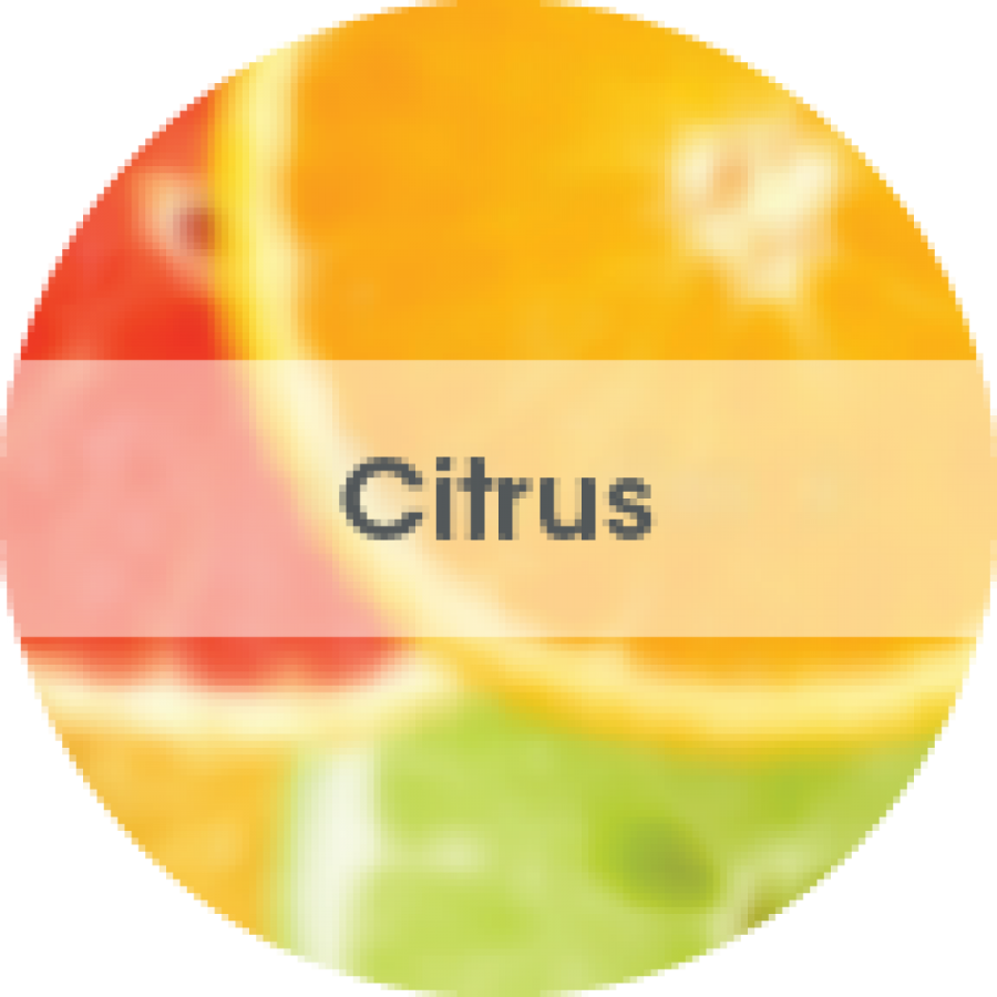 Eco Bowl Clip Citrus 1 τεμάχιο