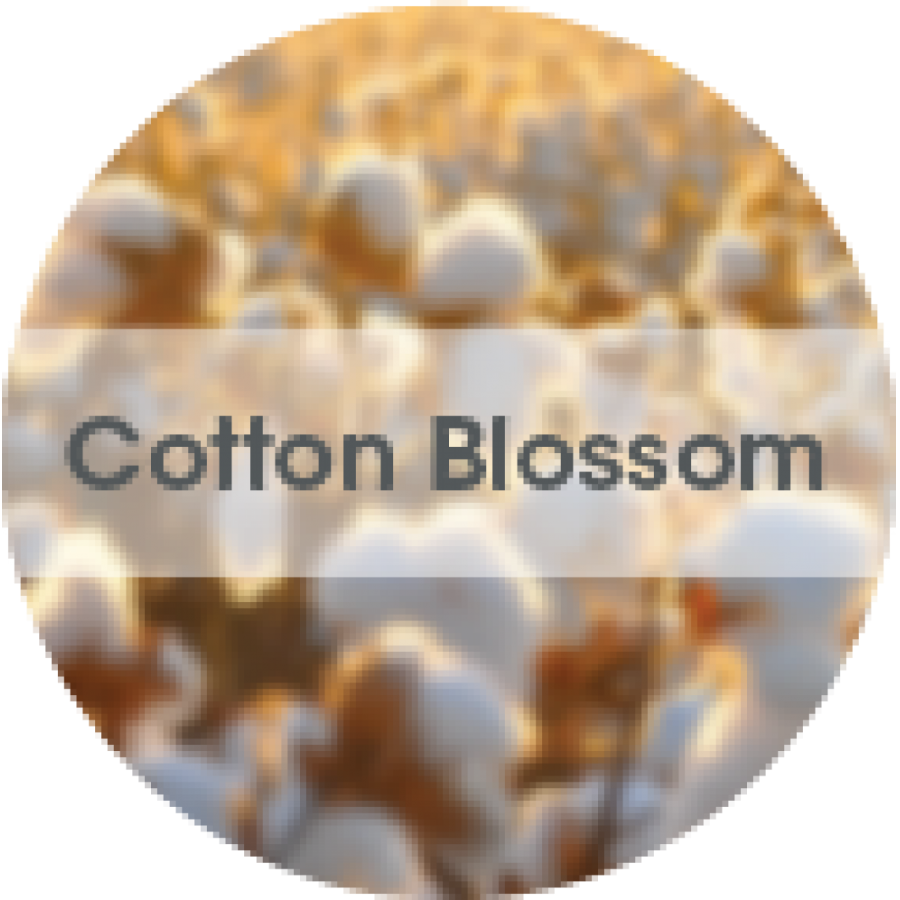 Hang Tag COTTON BLOSSOM 1 τεμάχιο