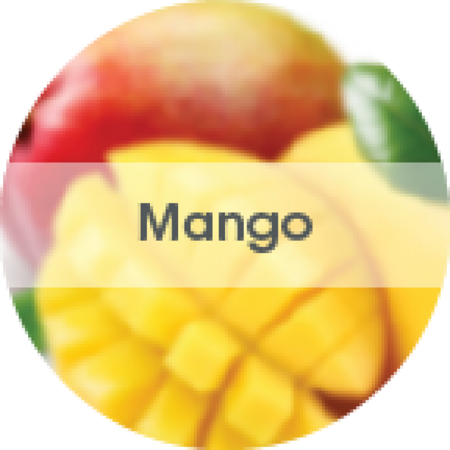 Hang Tag MANGO 12 τεμάχια