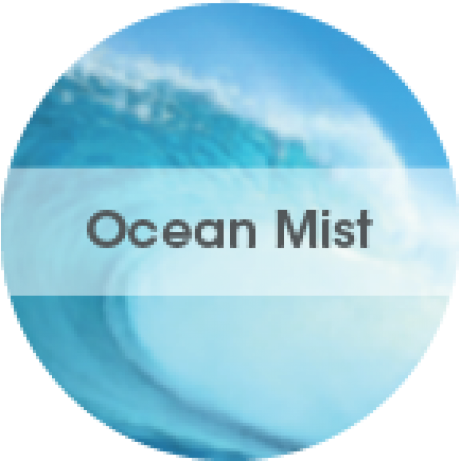 Easy Fresh OCEAN MIST FRESH, 1 τεμάχιο
